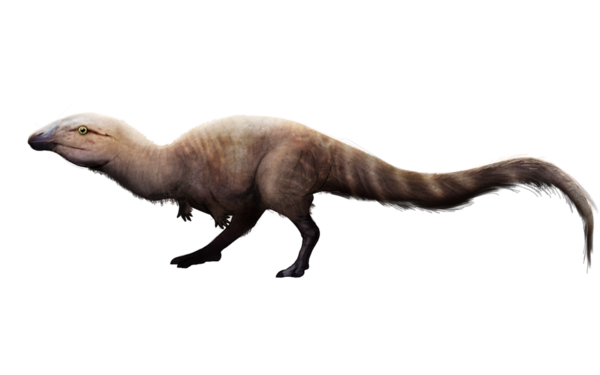 An artists reconstruction of V. insularis. Creative commons artist "Stegotyranno"